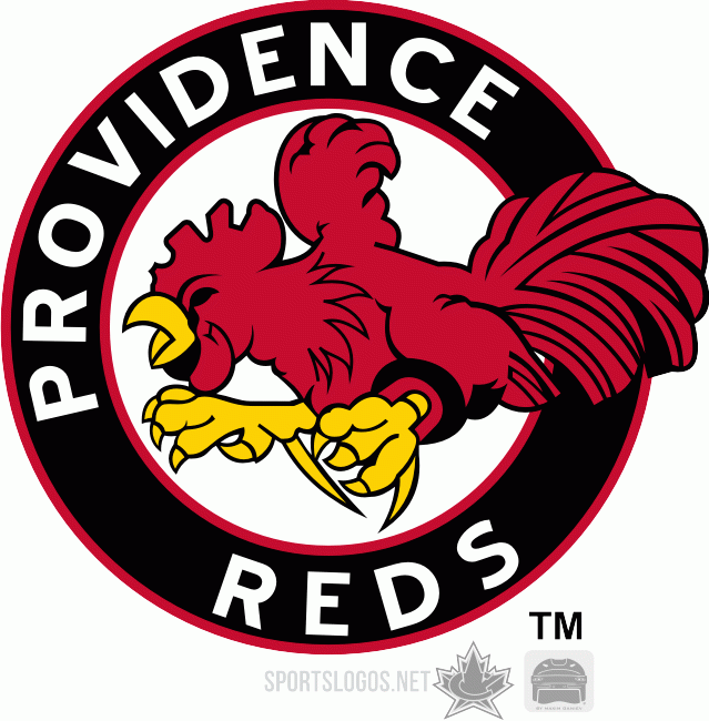 Providence Reds 1975 76-1976 77 Primary Logo iron on transfers for T-shirts